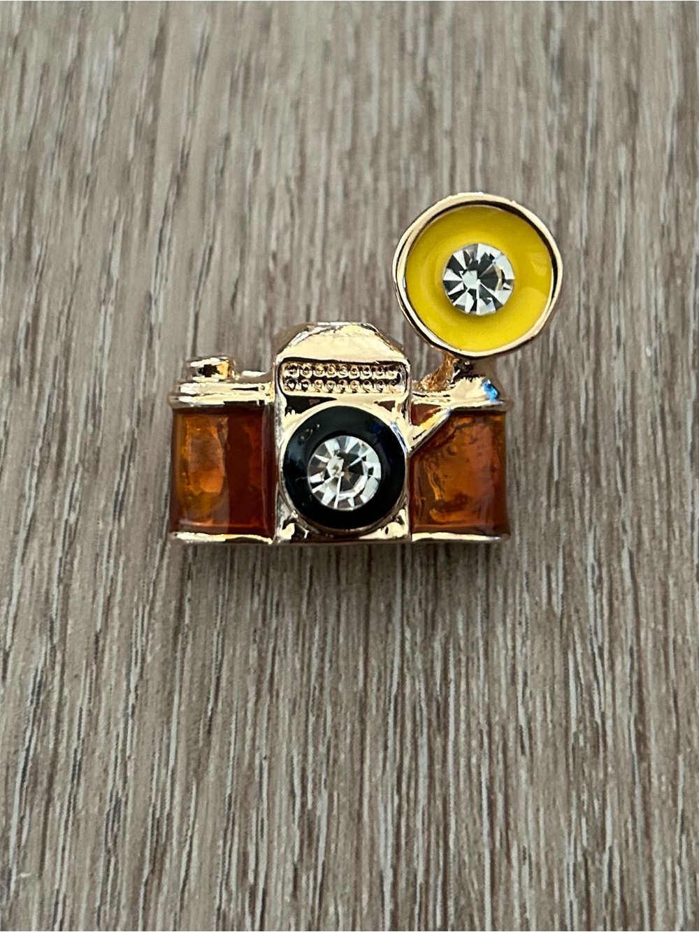 Gold and Brown Camera Brooch